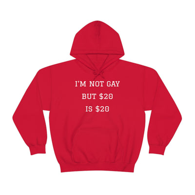 I'm Not Gay But $20 is $20 Unisex Hooded Sweatshirt