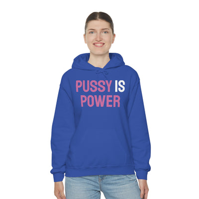 Pussy Is Power Unisex Hooded Sweatshirt