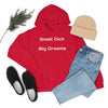 Small Dick Big Dreams Unisex Hooded Sweatshirt