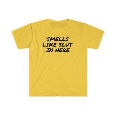 Smell Like Slut In Here T Shirt Printify